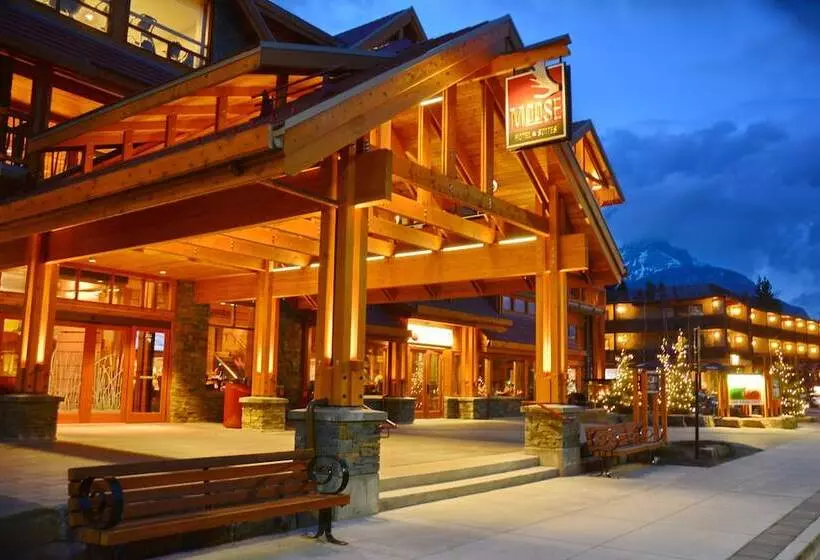 Fotos del hotel Moose Hotel And Suites:  13