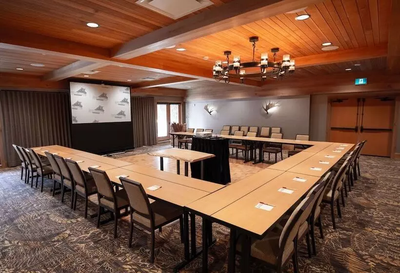Fotos del hotel Moose Hotel And Suites:  6