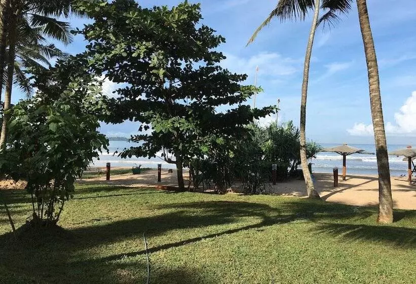Fotos del hotel Aussie Swiss Beach Resort:  7