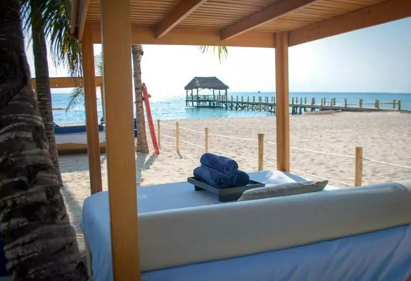 Fotos del hotel Residences at The Fives:  34