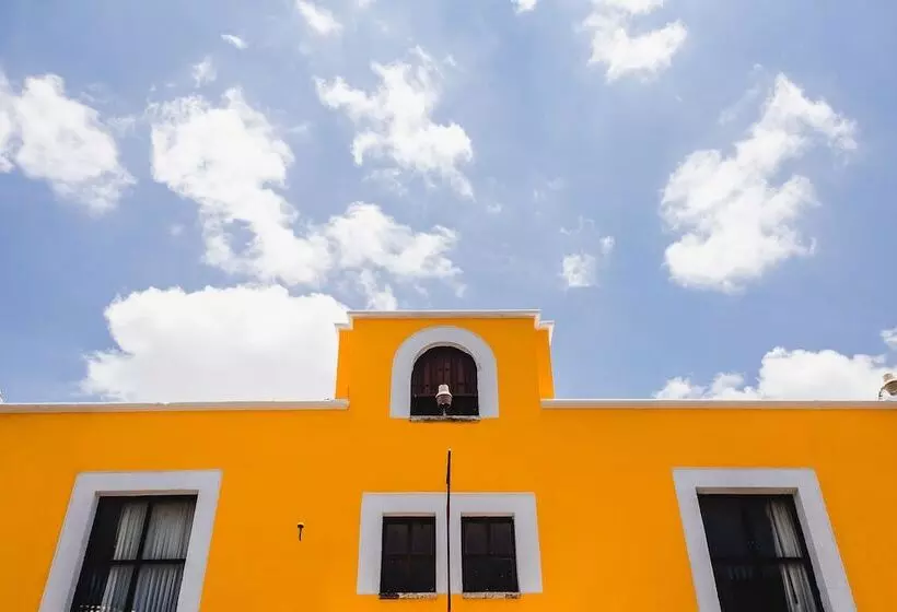 Montejo