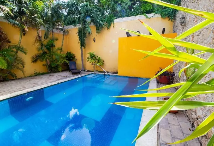 Fotos del hotel Montejo:  2