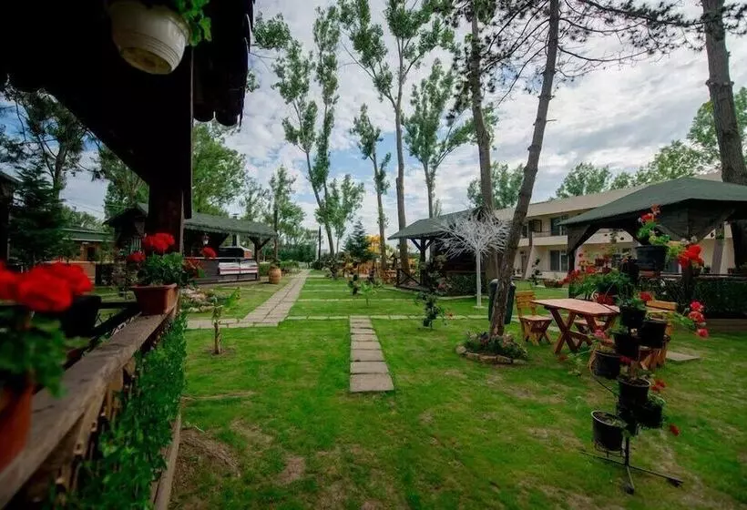 Fotos del hotel Voila Mamaia:  18