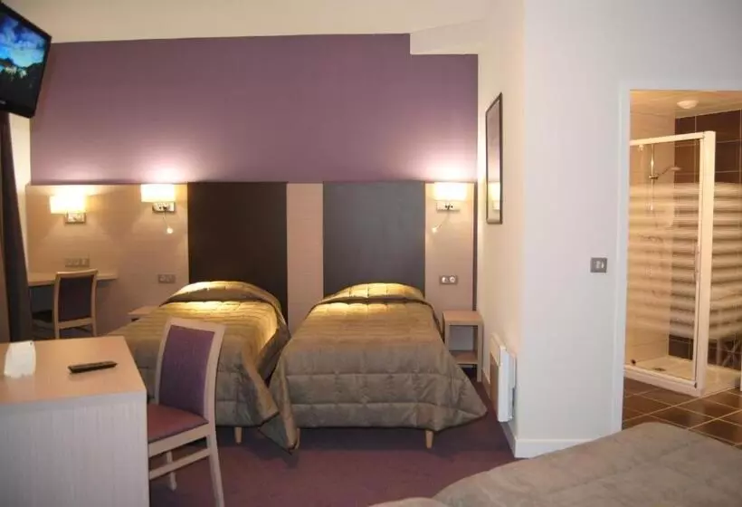 Fotos del hotel Hôtel Roc De Massabielle:  4