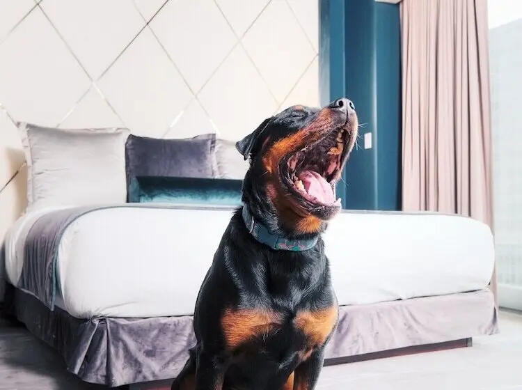 Fotos del hotel Trump International  & Tower Vancouver:  8