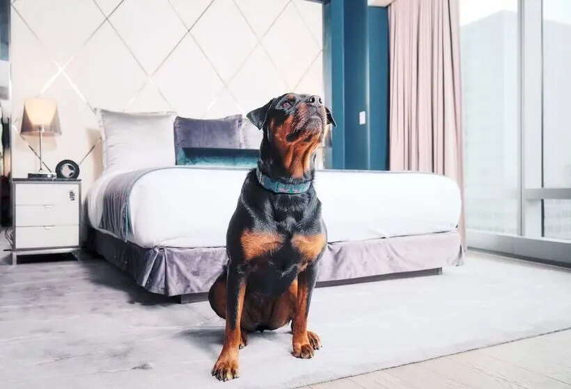 Fotos del hotel Trump International  & Tower Vancouver:  16