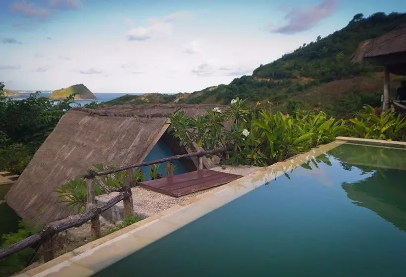 Blue Monkey Retreat Areguling
