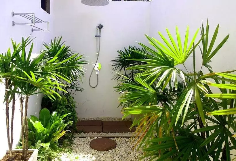 Fotos del hotel Sanae Beach Club:  12