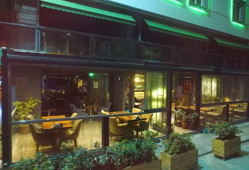 Fotos del hotel Turkeli:  8