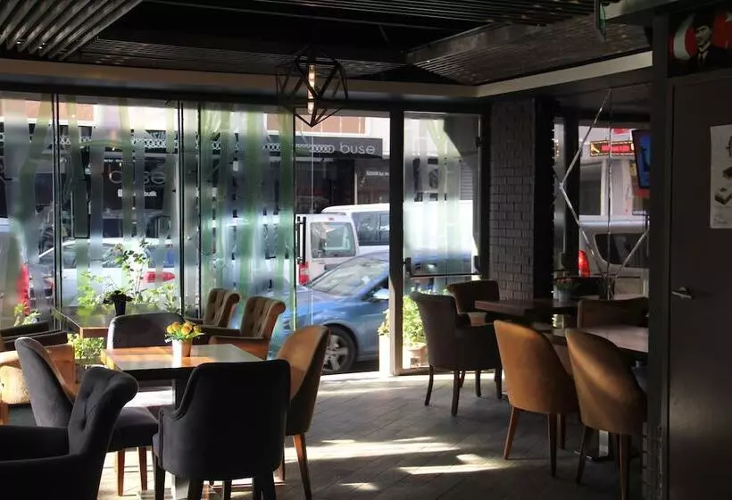 Fotos del hotel Turkeli:  14