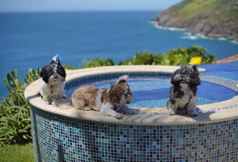 Fotos del hotel Cliffside Luxury Inn:  13