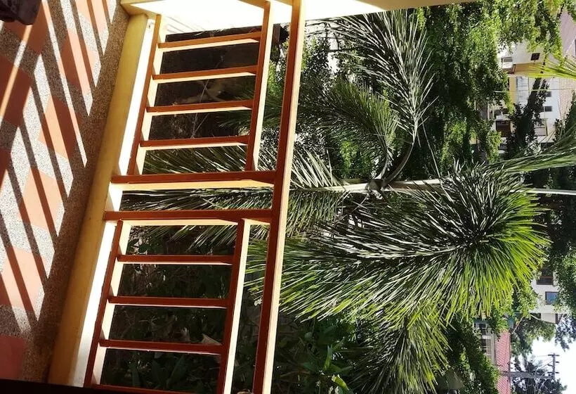 Fotos del hotel Paddy S Palms Resort:  7