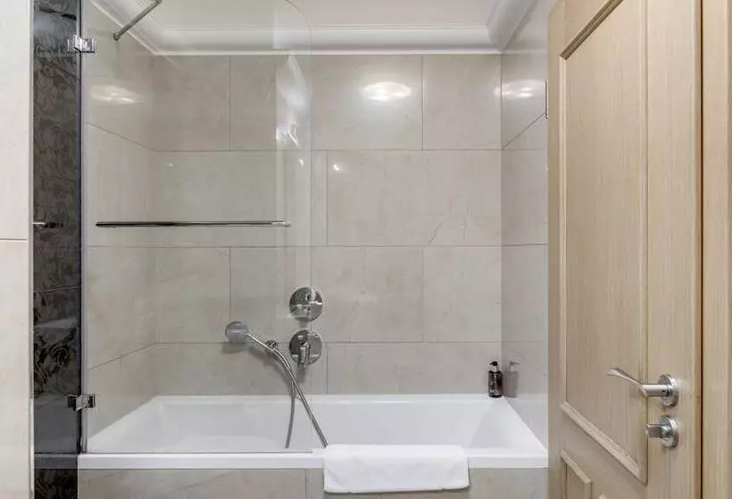 Fotos del hotel Louren Apartments Charles Bridge:  7