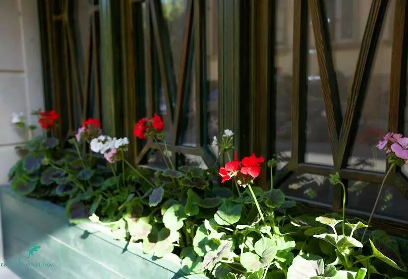 Fotos del hotel Boutique Hotel Baku:  22
