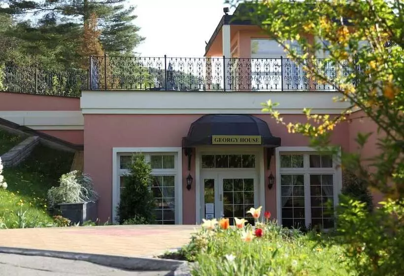 Fotos del hotel Bristol Georgy House:  5