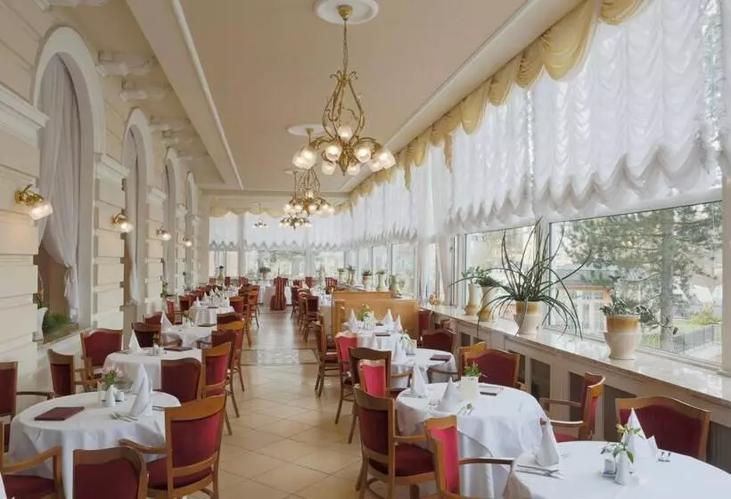 Fotos del hotel Bristol Georgy House:  3
