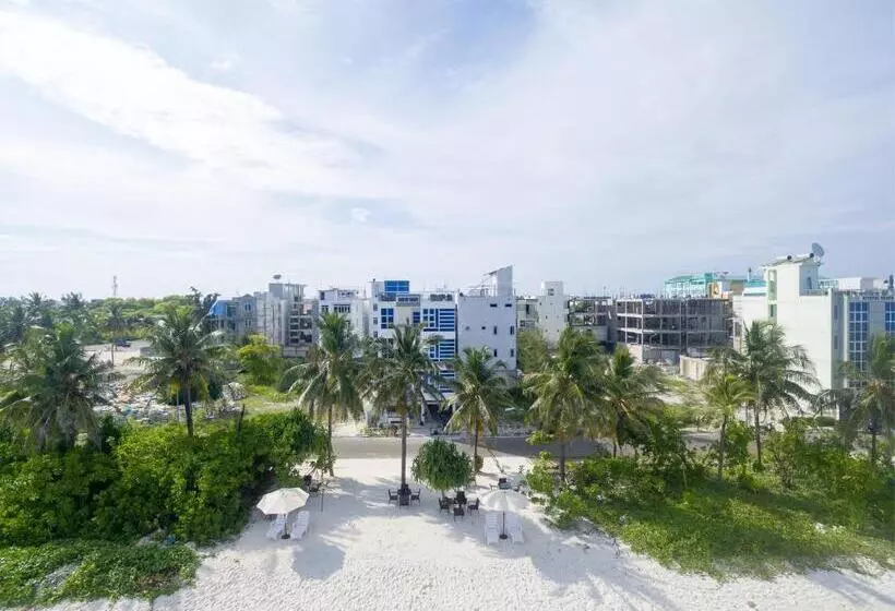 Fotos del hotel The White Harp Beach:  16