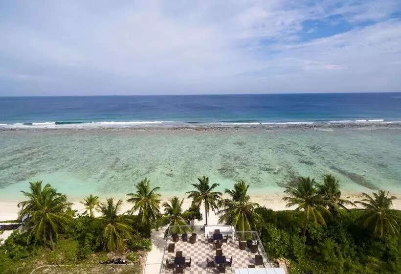 Fotos del hotel The White Harp Beach:  17