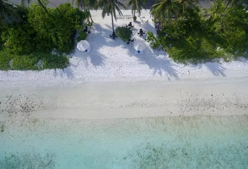Fotos del hotel The White Harp Beach:  21