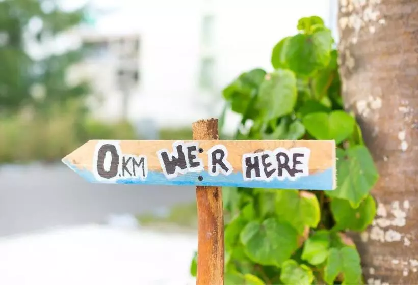 Fotos del hotel The White Harp Beach:  22