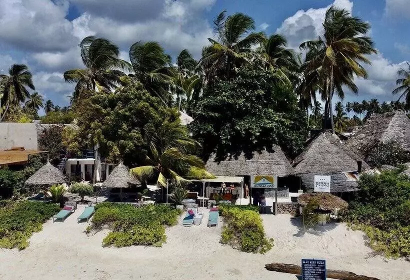 Fotos del hotel Blue Reef Sport And Fishing Lodge & Bungalows:  25