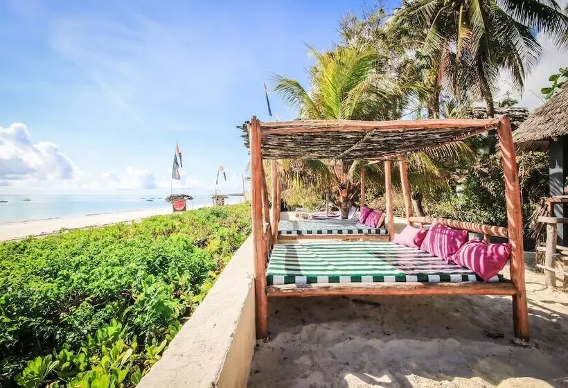 Fotos del hotel Blue Reef Sport And Fishing Lodge & Bungalows:  23