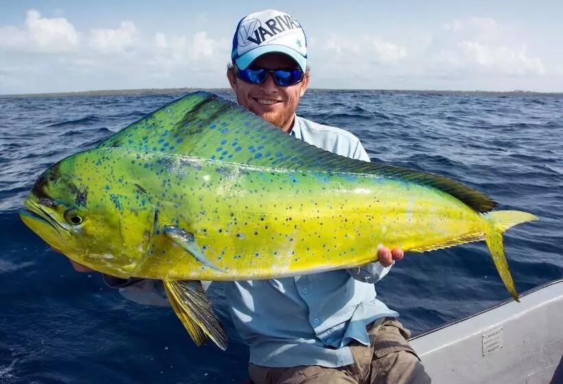 Fotos del hotel Blue Reef Sport And Fishing Lodge & Bungalows:  24