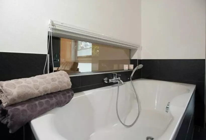 Fotos del hotel Appartements De Luxe Schluga:  7