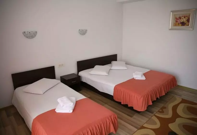 Fotos del hotel Pensiunea Zbor:  20