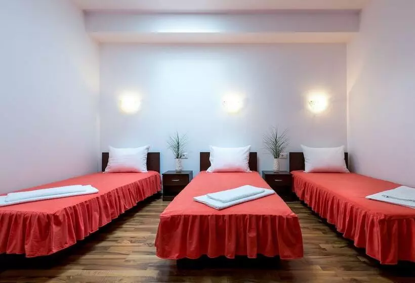 Fotos del hotel Pensiunea Zbor:  17
