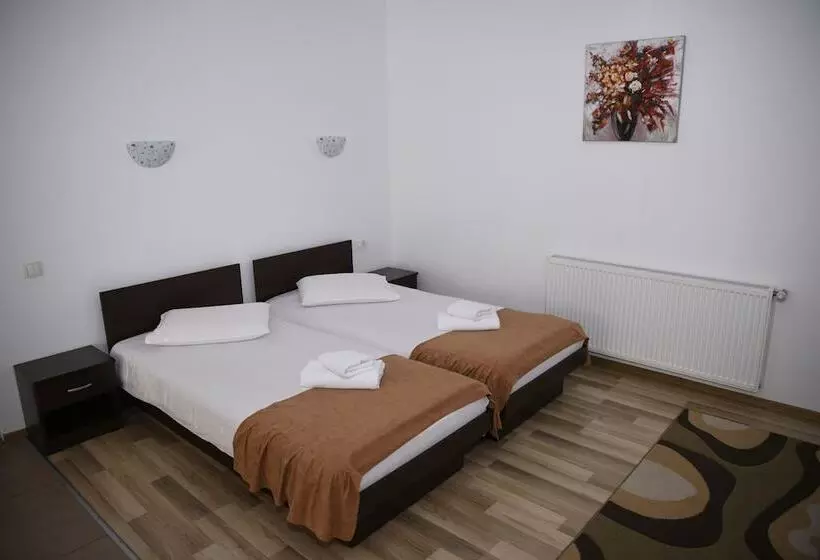 Fotos del hotel Pensiunea Zbor:  19