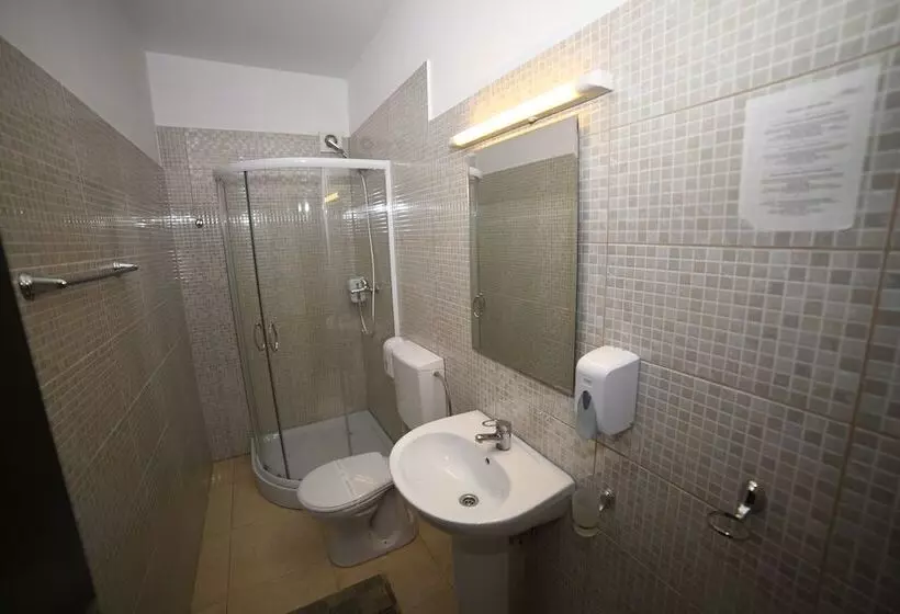 Fotos del hotel Pensiunea Zbor:  11