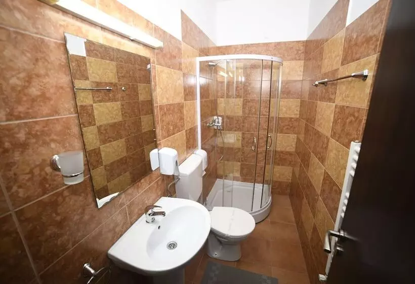Fotos del hotel Pensiunea Zbor:  3