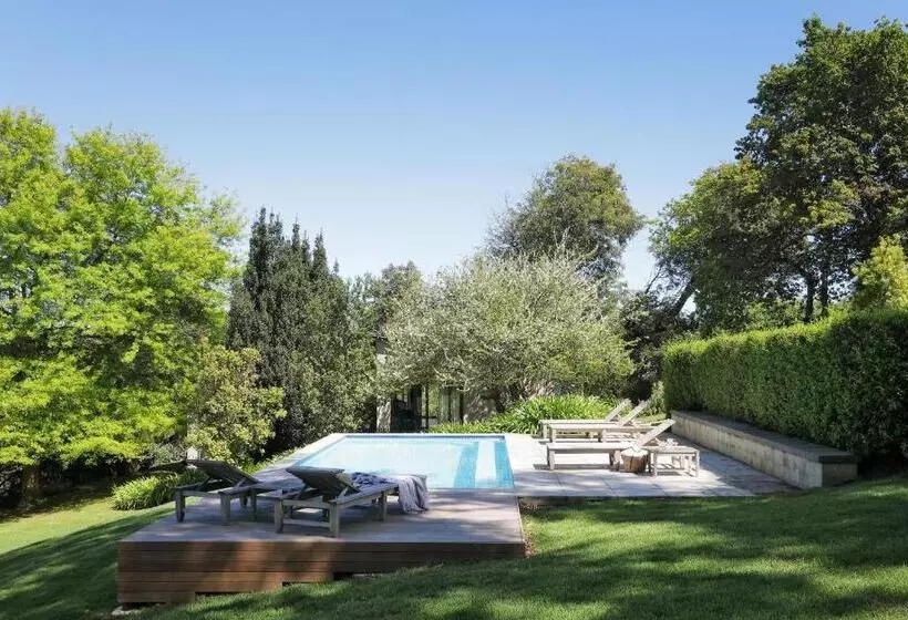 Fotos del hotel Sugarbird Manor:  2