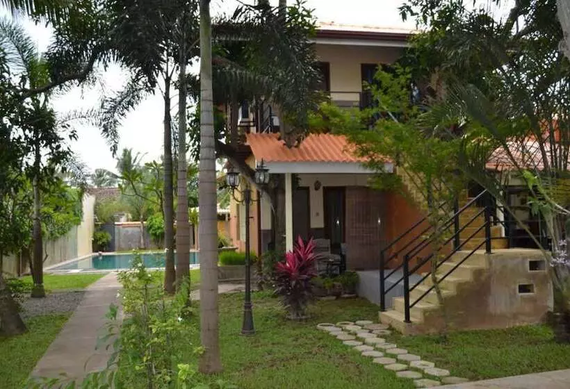 Fotos del hotel Morning Star Resorts:  13