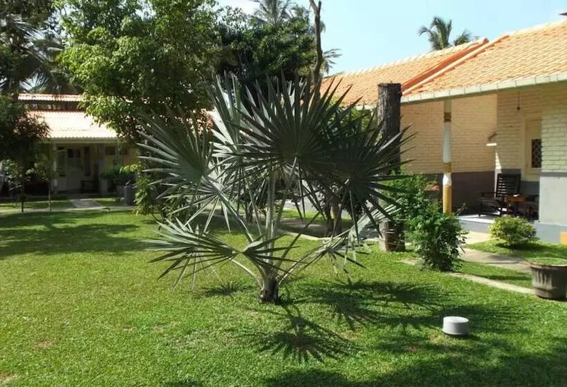 Fotos del hotel Morning Star Resorts:  14