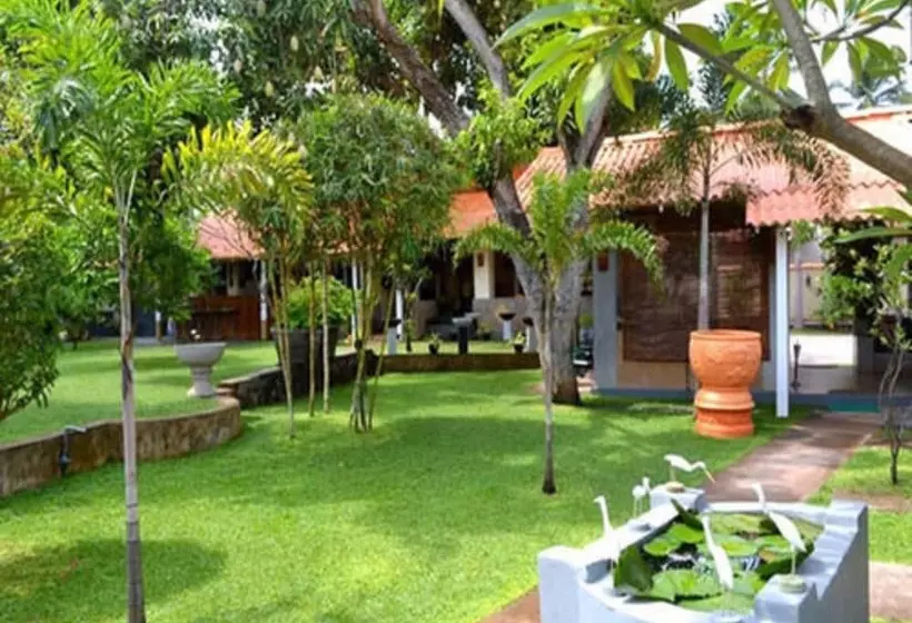 Fotos del hotel Morning Star Resorts:  4
