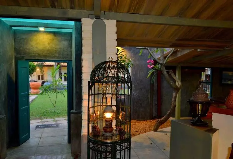 Fotos del hotel Morning Star Resorts:  6