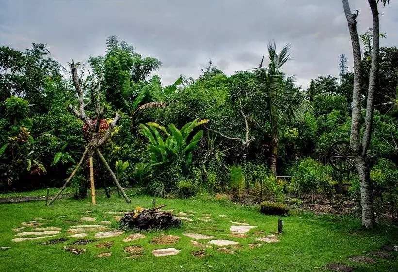 Fotos del hotel Swasti Eco Cottages:  13