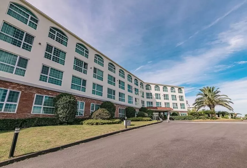 Fotos del hotel Aria  Jeju:  10