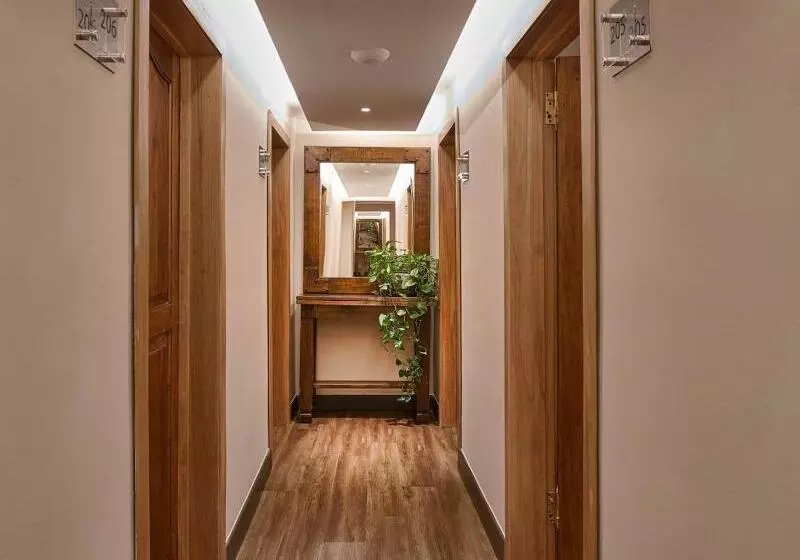 Fotos del hotel Riazor:  12