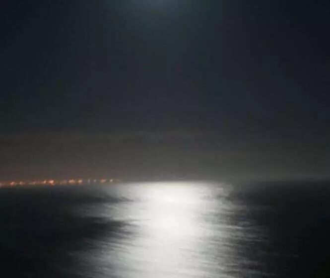 Fotos del hotel Simon's Town Guest House:  16