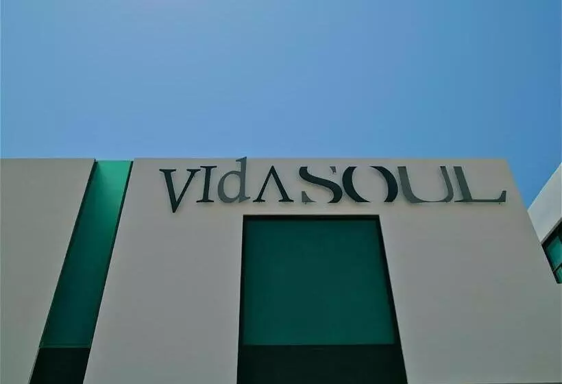 Fotos del hotel Vidasoul:  24