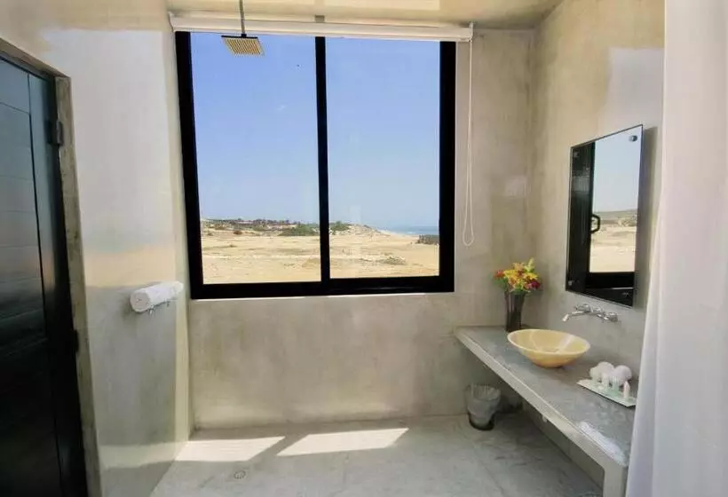 Fotos del hotel Vidasoul:  4