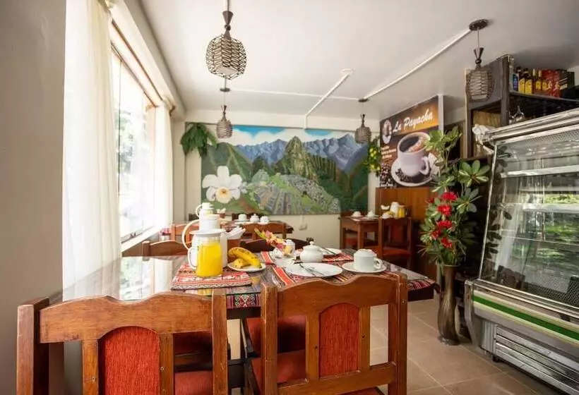 Fotos del hotel Hostal La Payacha:  11
