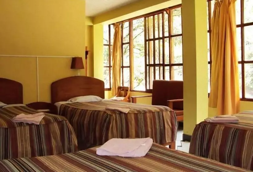 Fotos del hotel Hostal La Payacha:  18