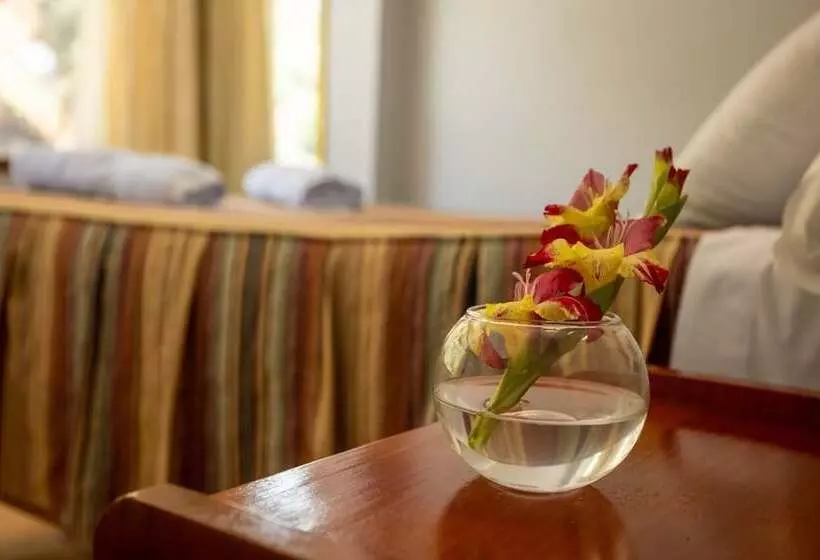 Fotos del hotel Hostal La Payacha:  8
