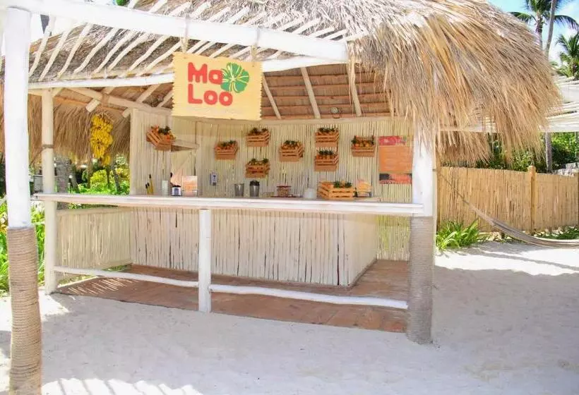 Fotos del hotel Catalonia Punta Cana  All Inclusive:  49