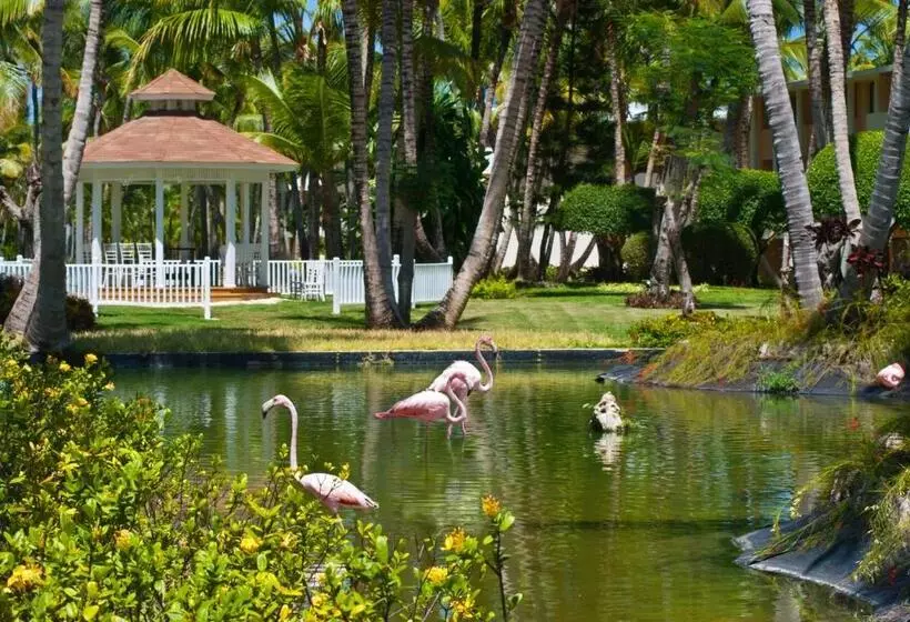Fotos del hotel Catalonia Punta Cana  All Inclusive:  3