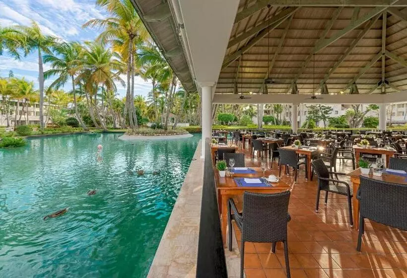 Fotos del hotel Catalonia Punta Cana  All Inclusive:  19
